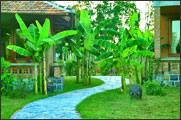 Van Chai Resort BOOKING